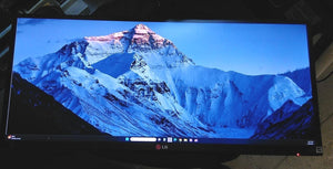 LG Flatron 29EA73 29" LCD Monitor HDMI DisplayPort No PSU No Stand